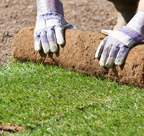 person rolling sod onto grass soil preparation for landscaping