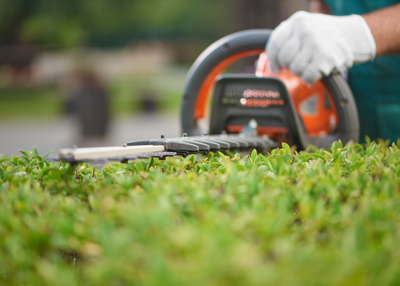 hand using a hedge trimmer on a green bush in a garden landscape maintenance